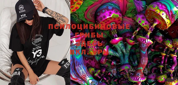 шишки Алексеевка