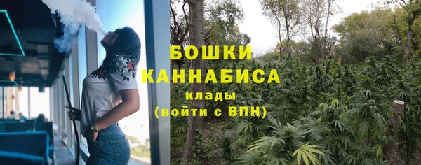шишки Алексеевка