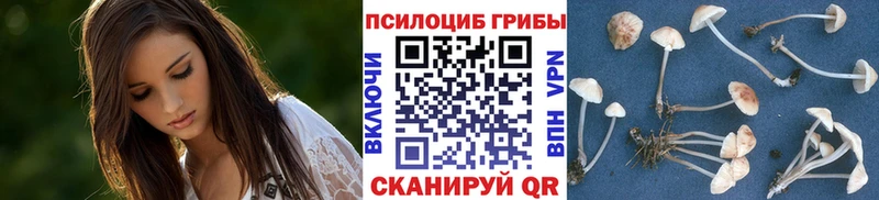 купить наркотики цена гидра ONION Псилоцибиновые грибы GOLDEN TEACHER Грайворон